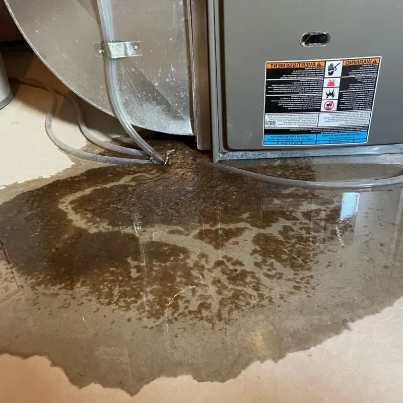 Pipe Burst and Leak Restoration in Buffalo, NY